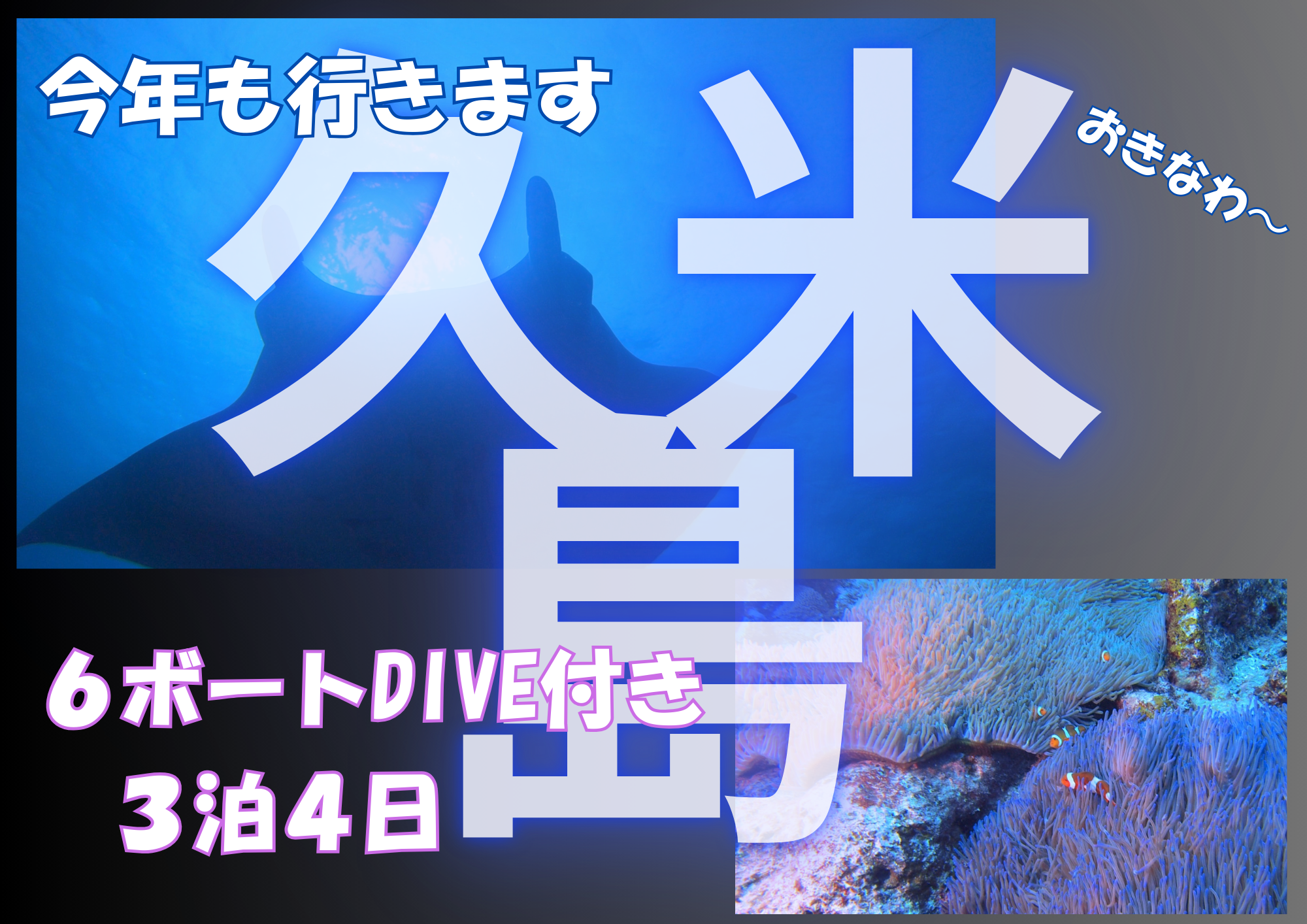 久米島ダイビングツアー行きます｜秦野市、小田原市発ダイビングツアー